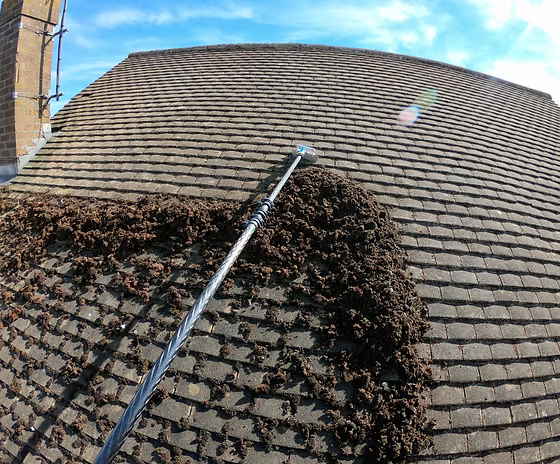 ENTRETIEN & PROTECTION DURABLE